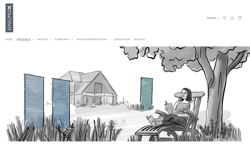 webfellows Referenz knumox.de